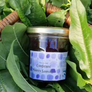 confiture bio mures sauvages